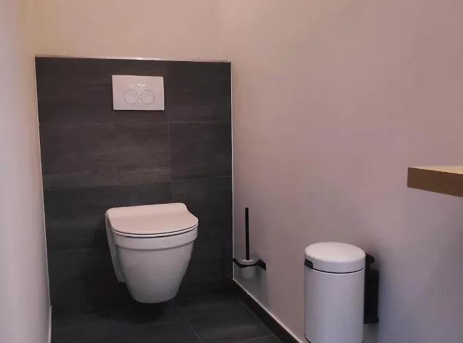 Daynight Sauveniere *