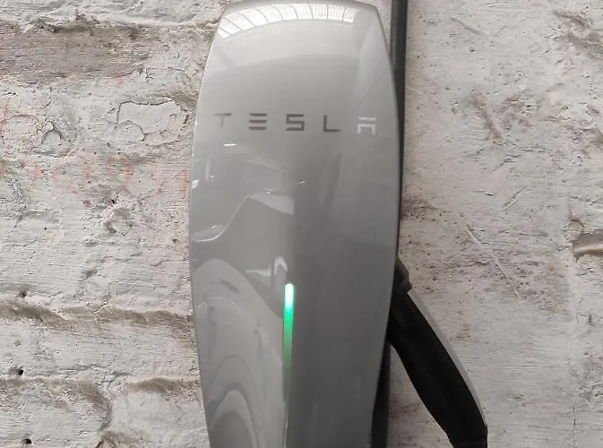 Daynight Sauveniere *